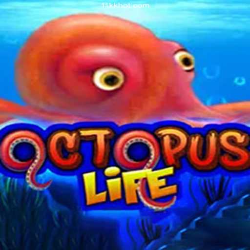 Exploring the Oceanic Adventures of OctopusLife and the Excitement of 11KK Brasil